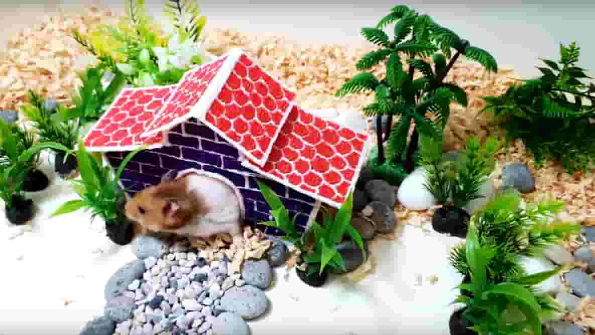Featured image of How to Draw a House for Your Hamster with a 3D Pen