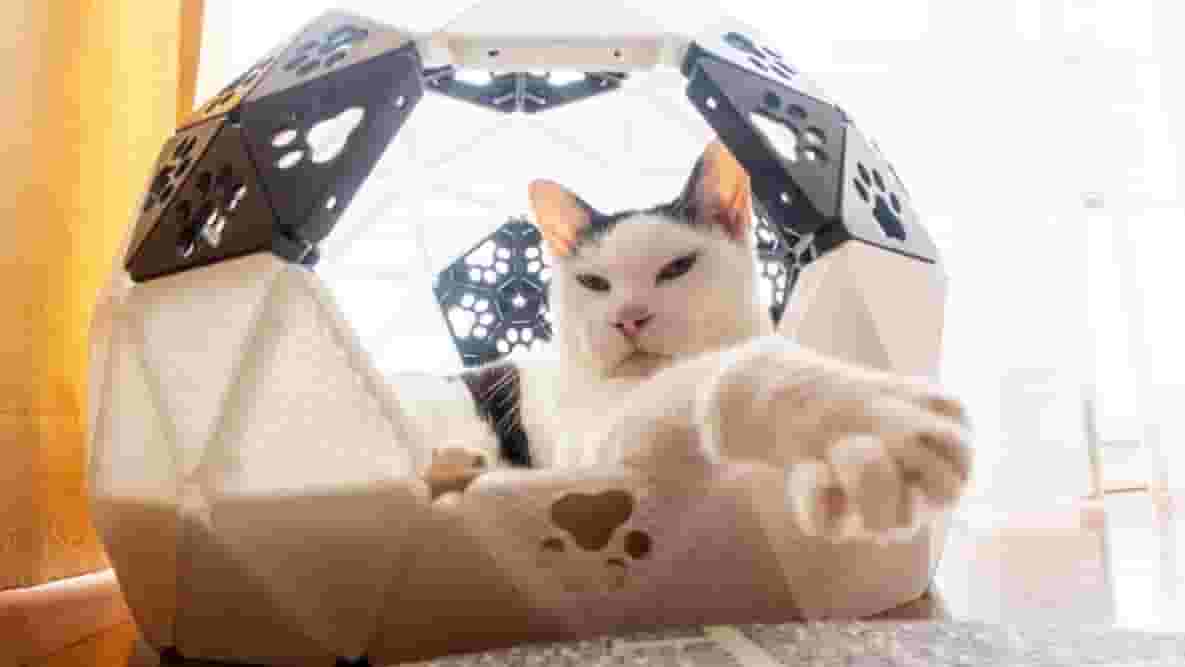 Featured image of The Best 3D Printed Cat Toys & Accessories