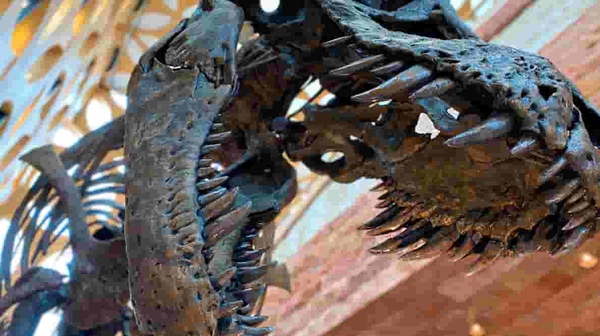 Featured image of 3D Printing Artifacts & Exhibits: A Museum Guide