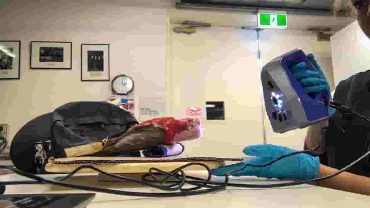 Featured image of Ditch the Calipers, Handheld 3D Scanners Accelerate Research