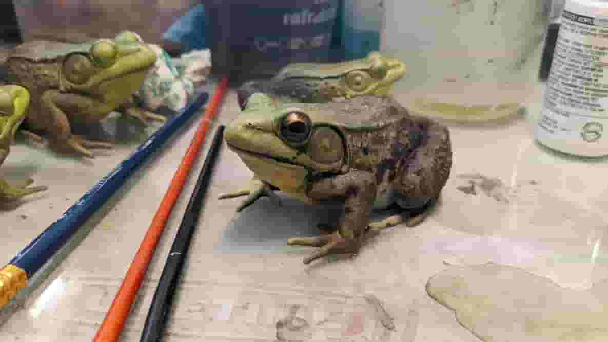 Featured image of This Redditor’s Wildlife Models are Museum-Quality – And You Can Buy Them