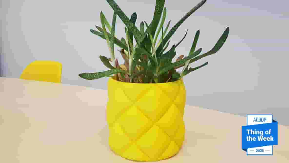 Featured image of Trick Your Guests With the Inflated Plant Pot