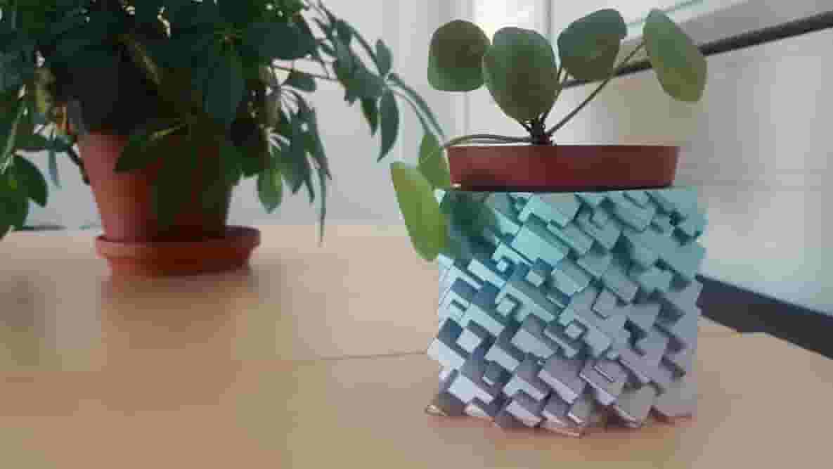 Imagen principal de Déle a sus plantas una casa llena de efectos que les encantará
