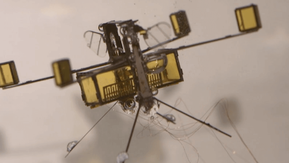 Featured image of Insect-inspired Hybrid Drone Flies, Swims and Explodes Out of the Water