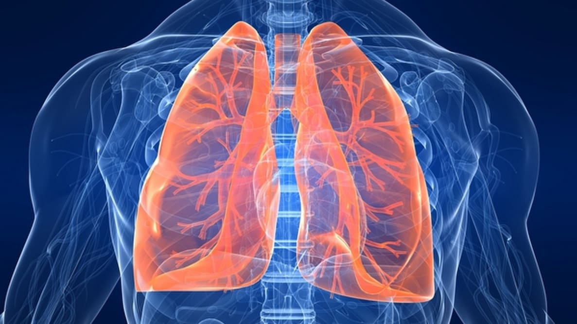 Featured image of 3D Printed Super-Soft Structures that Replicate Brain and Lungs