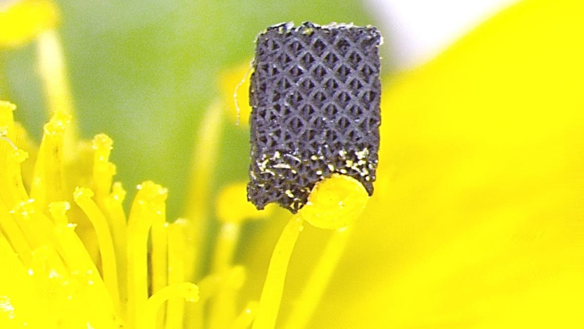Featured image of Researchers Develop 3D Printing Technique for World’s Strongest Material