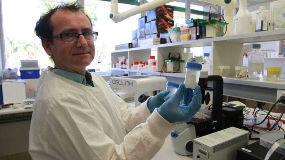 Featured image of 3D Printed Crocodile Cartilage Could be the Key to Human Joint Repair