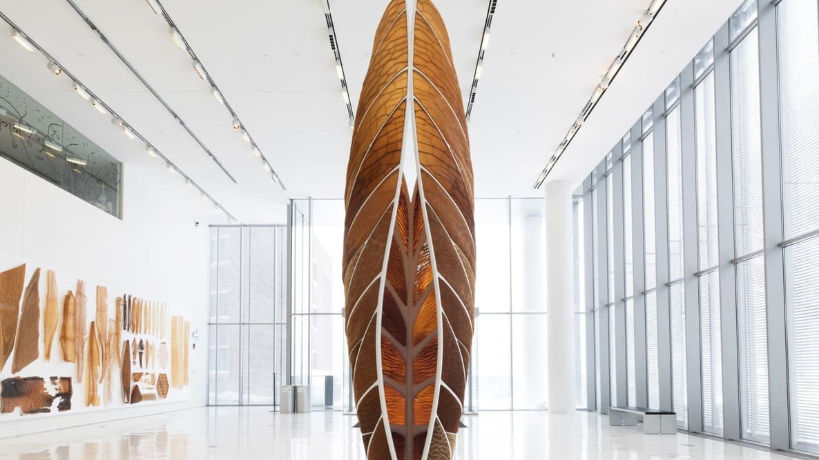 Featured image of Art meets Additive: Neri Oxman and Stratasys Create Beautiful Nature-inspired Objects