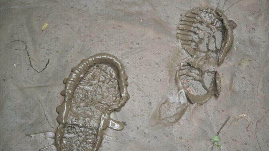 Featured image of 3D Forensics&nbsp;Capture Shoe Prints Instantly in Three Dimensions