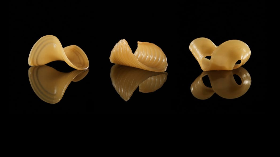 Featured image of This 3D Printed Pasta Changes Shape When Dunked in Water