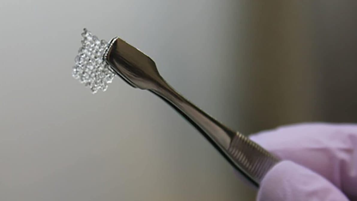 Featured image of Scientists Made Mouse Babies with 3D Printed Ovaries