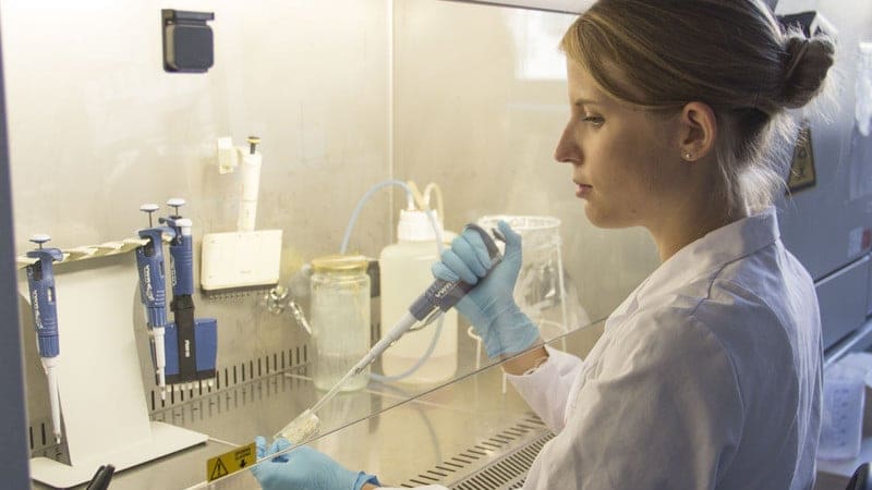 Featured image of TU Wien Researchers 3D Print Artificial Placental Barrier on a Chip