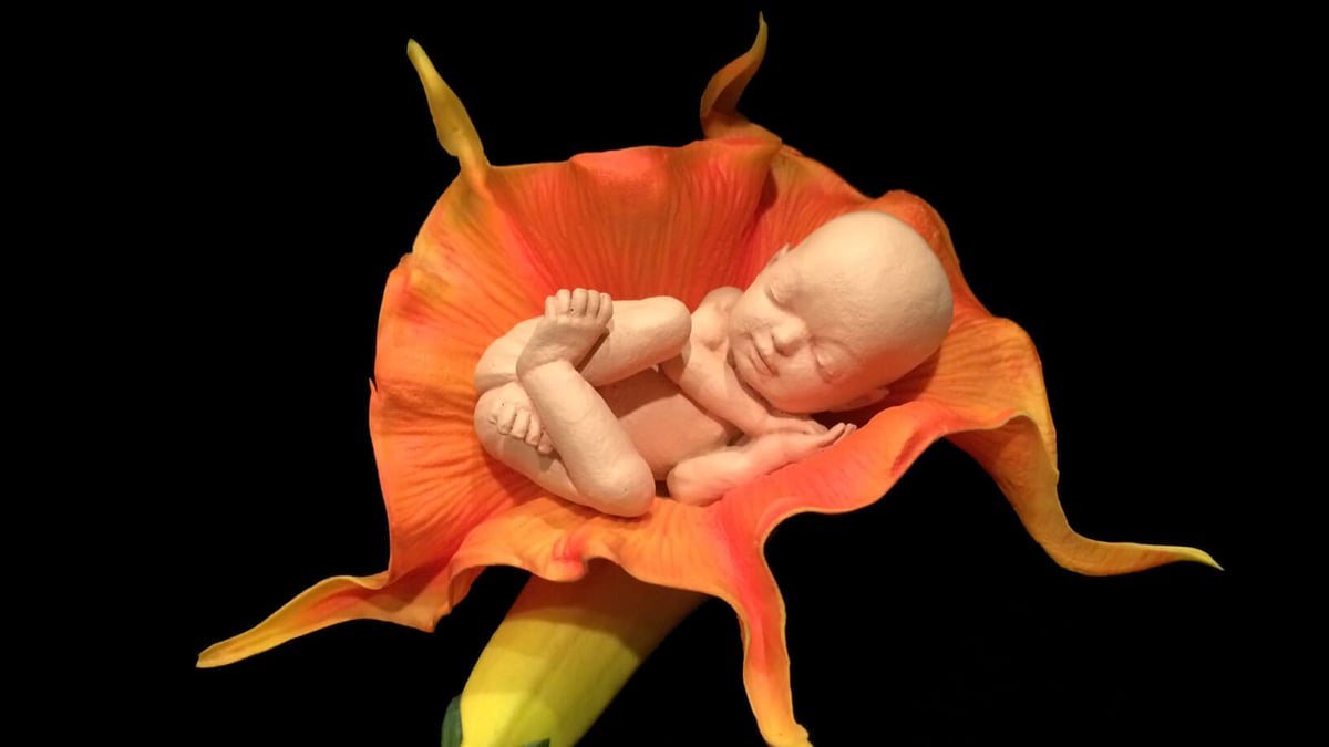 Featured image of 3D Printed Foetus: The Big Parenting Trend in 2016