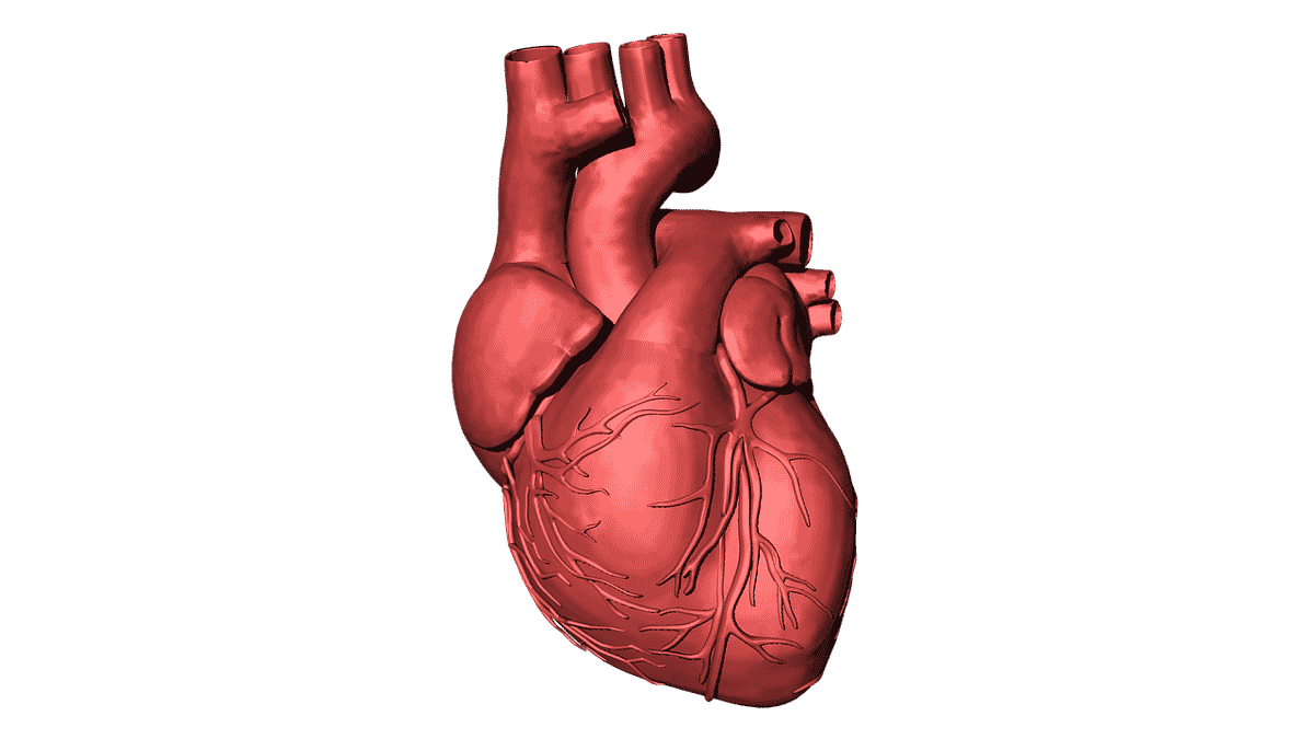 Featured image of NASA and Techshot Trying To 3D Print Organs In Space