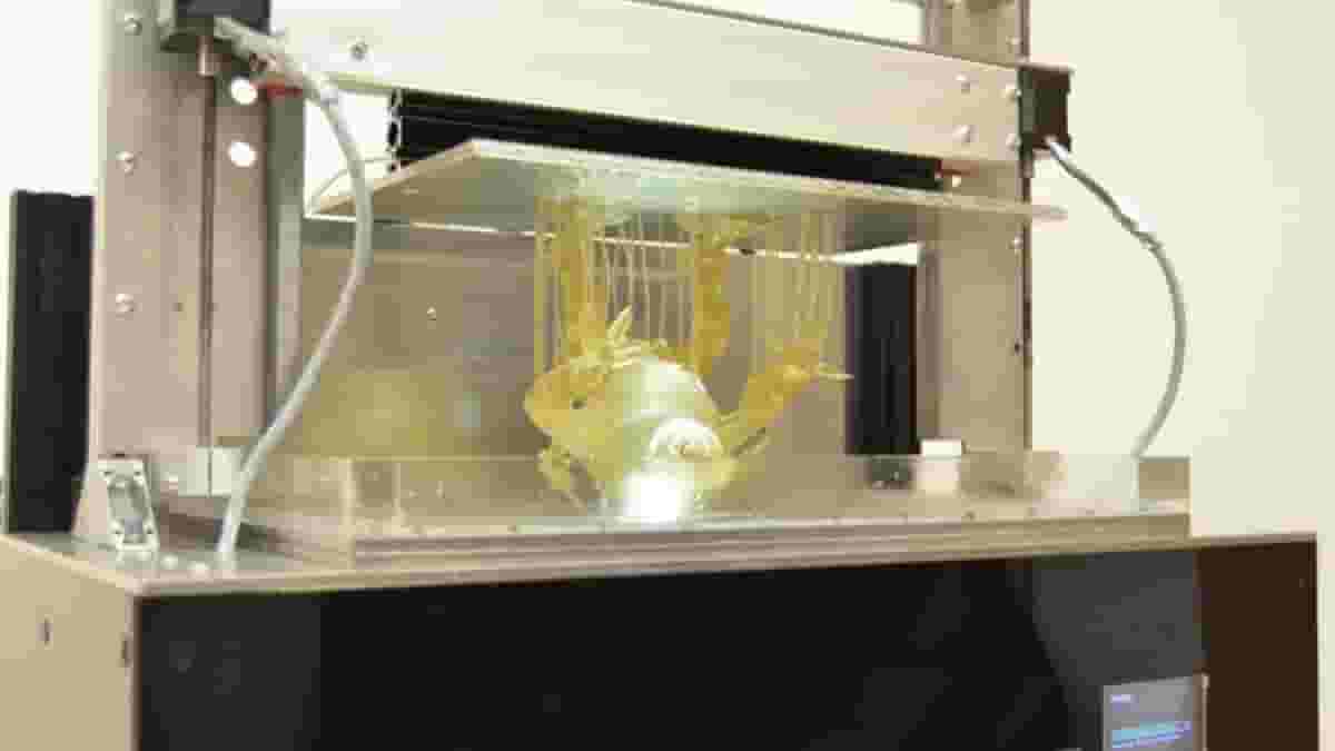 Featured image of 3D Printing with Light – Zoom in on This Technology