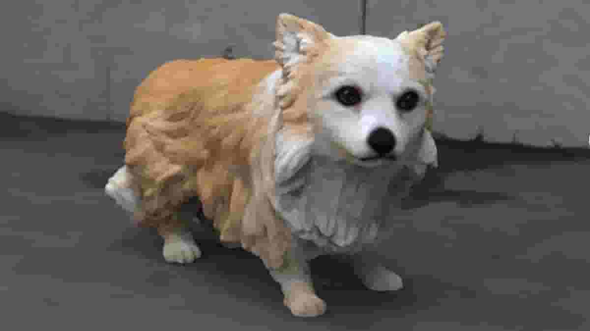 Featured image of How to Make a 3D Model of My Dog & Print It