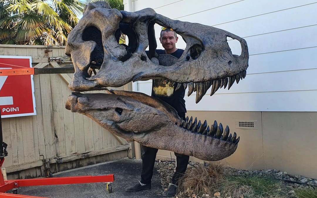 T-Rex a 最初期 Handcrafted in Denmark Factory Sale Realistic T-Rex Skull Replica Skeleton Half