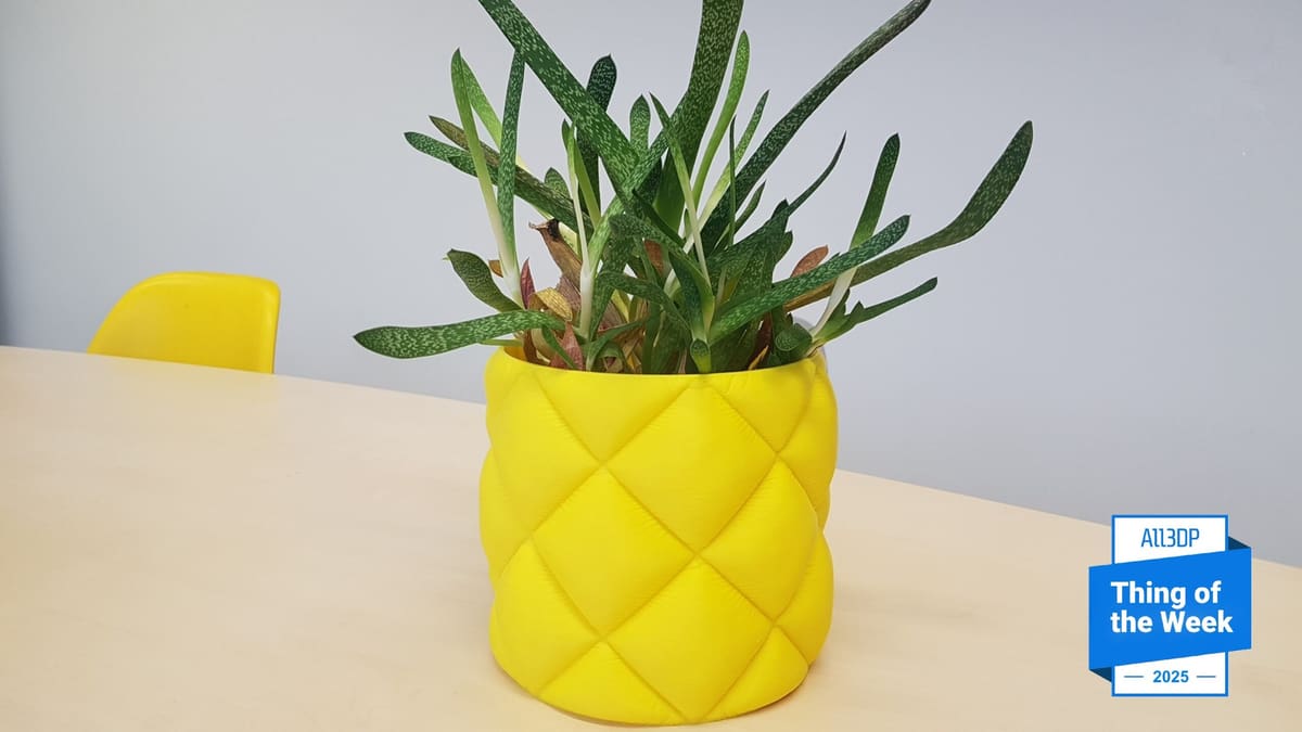 Featured image of Trick Your Guests With the Inflated Plant Pot