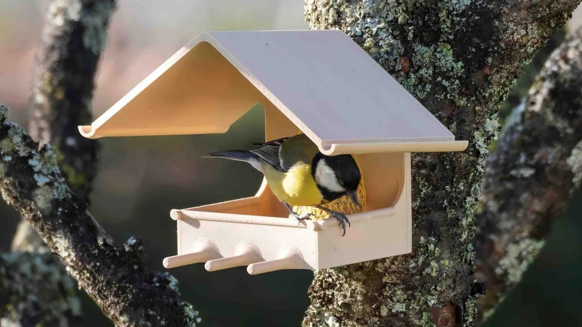 Featured image of Regen, Sonne, Schnee: Diese 3D-Druckmaterialien halten jeder Witterung stand