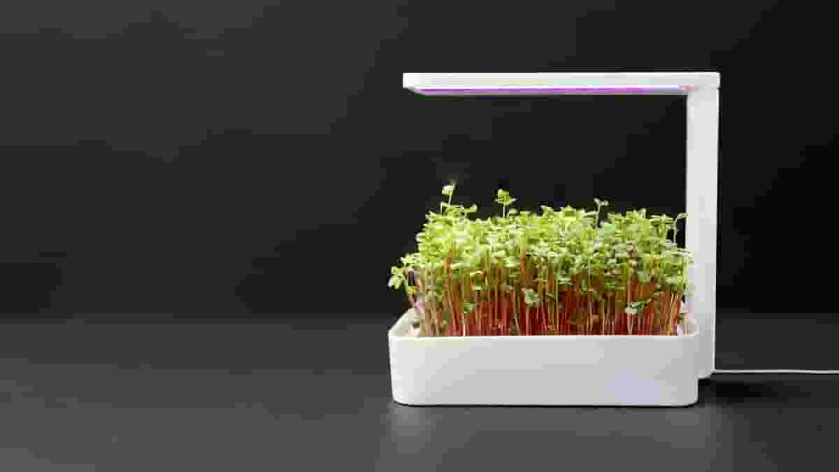 Image of Cool Things to 3D Print: Microgreen Grower