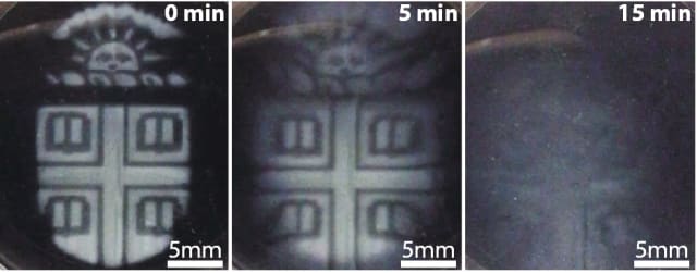 Image of Exotic 3D Printer Filament: Degrade-on-demand biomaterial