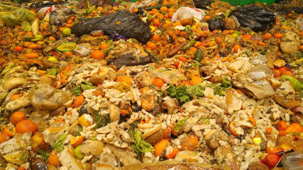 Image of Exotic 3D Printer Filament: Food Waste