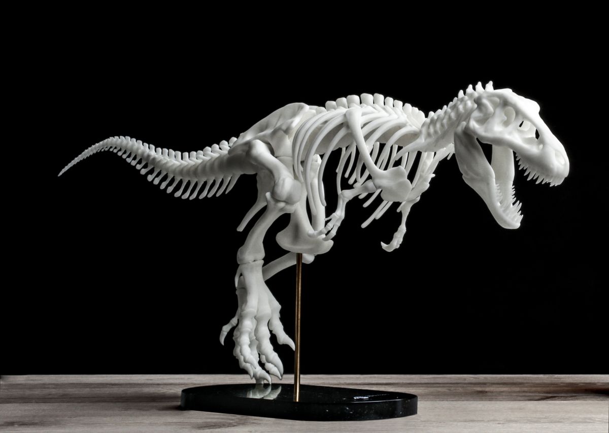 Image of PLUTO 3D Printer: Review the Facts: Review the Features