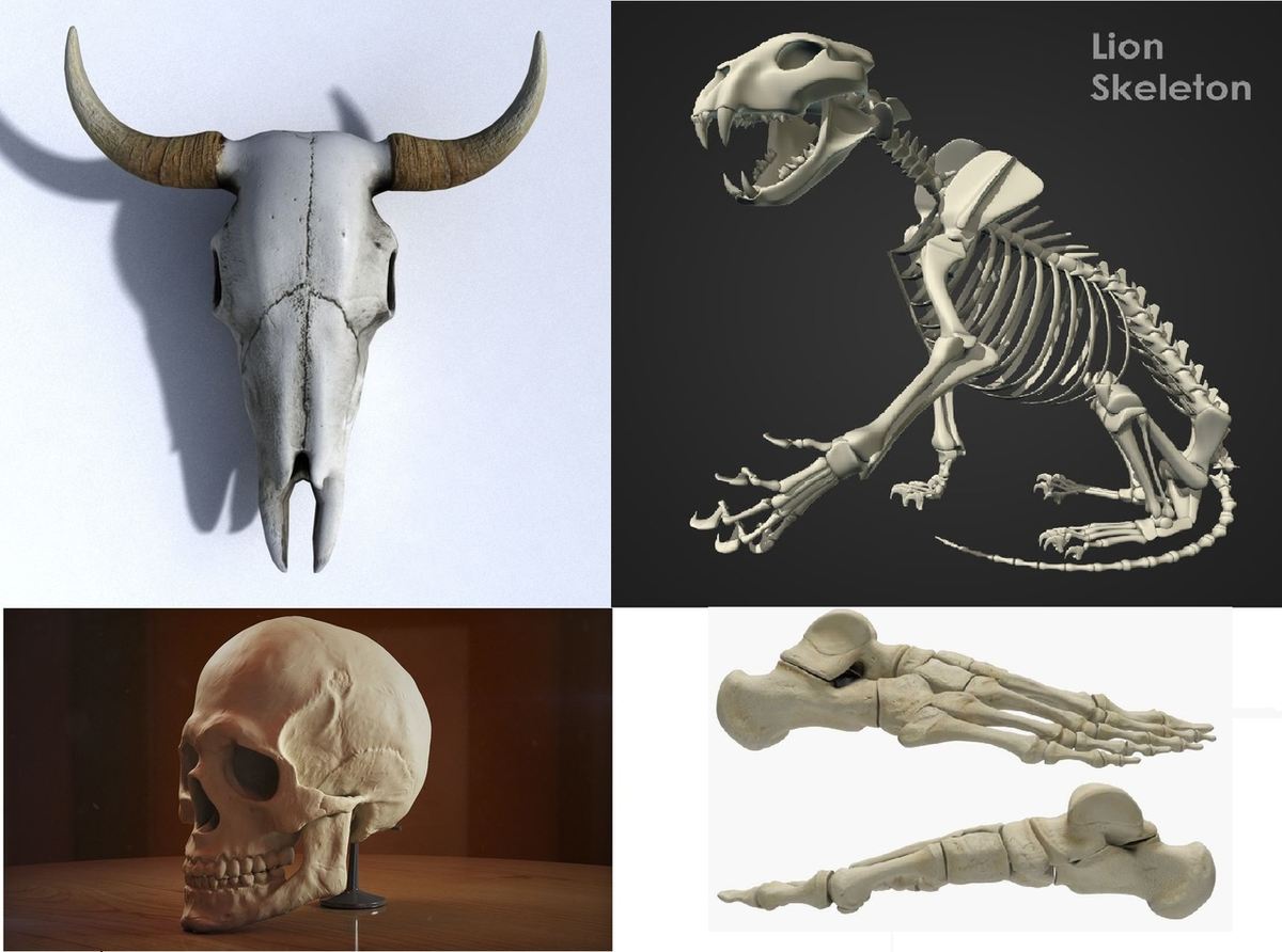 A selection from Free3D.