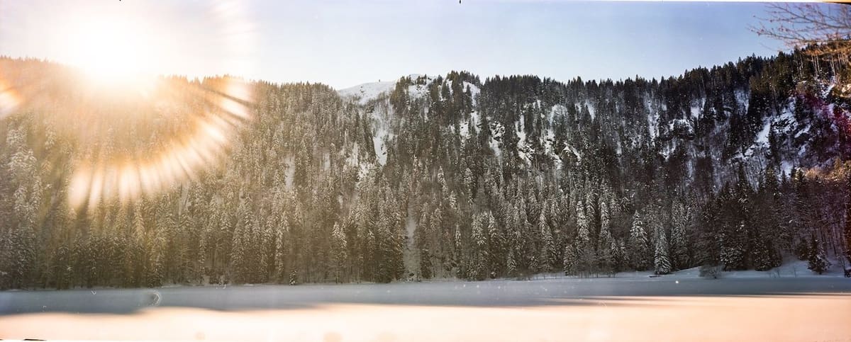 A photo taken with a 3D printed pinhole camera.