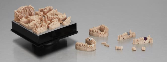3D printed crown and bridge models.