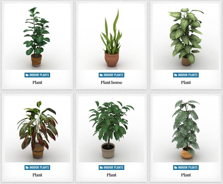 Plant 3D Model: 12 Great Sources | All3DP