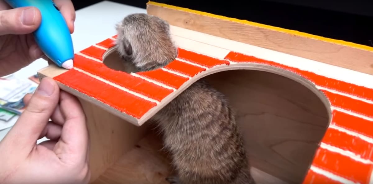 Improve your pet's existing houses with your own colorful designs