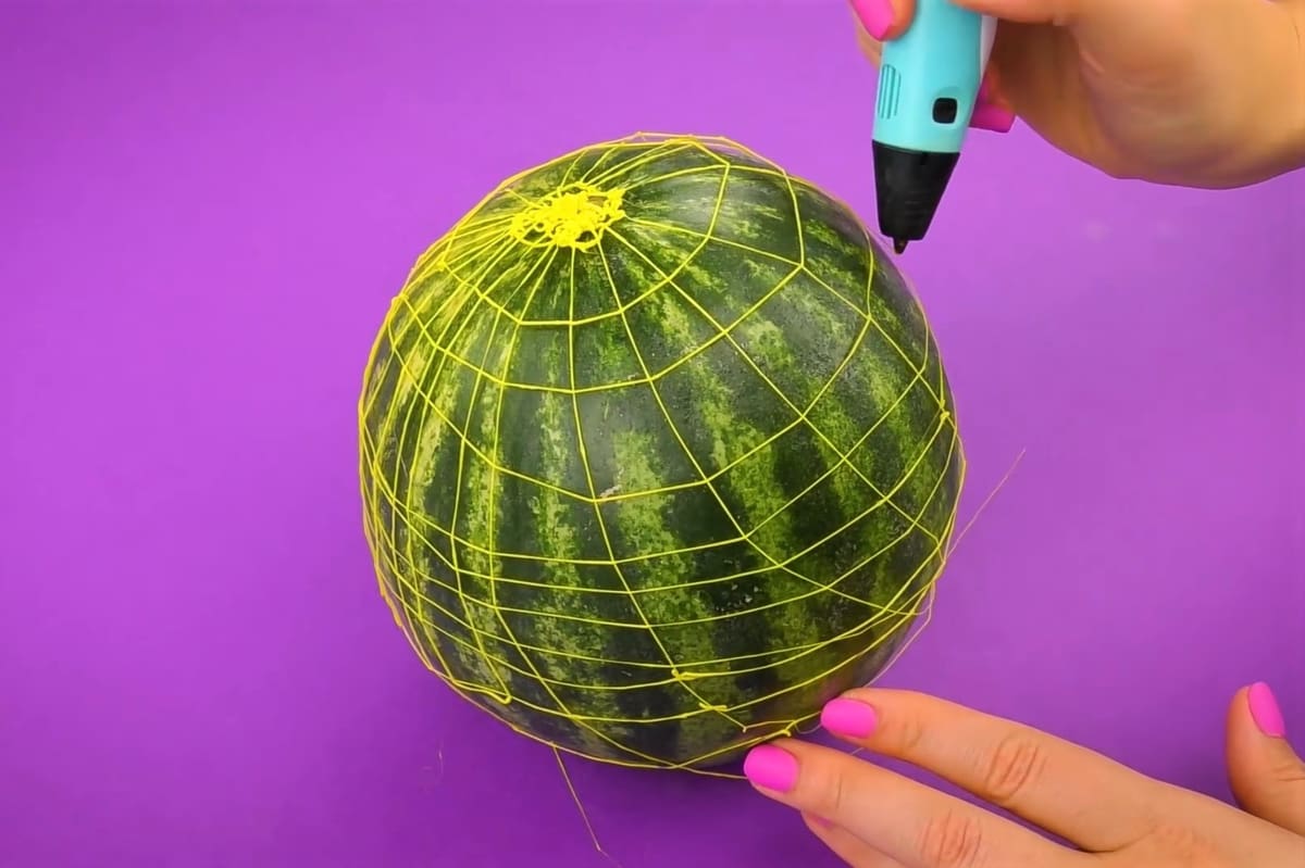 Watermelon wireframe