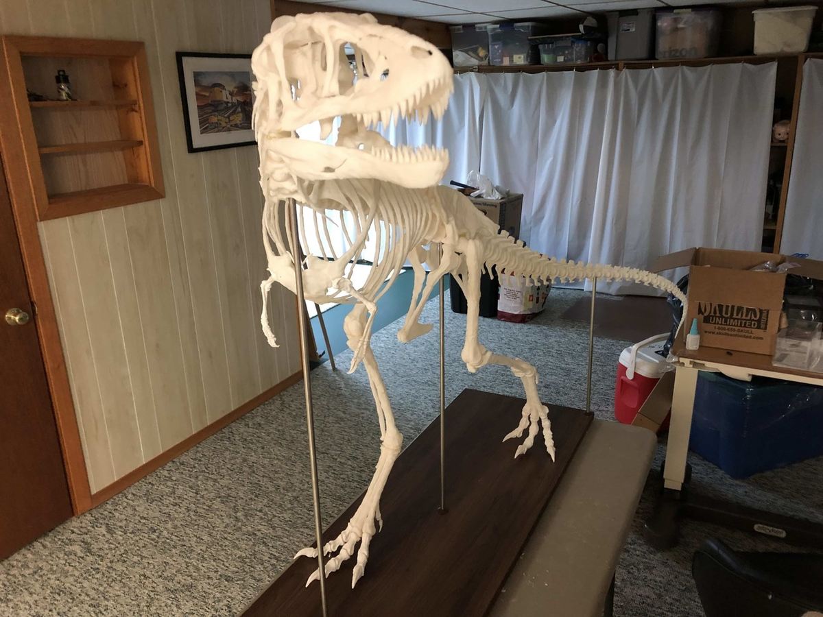 Taking dinosaur enthusiasm to the next level