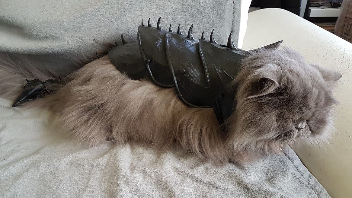 Protect your cat!
