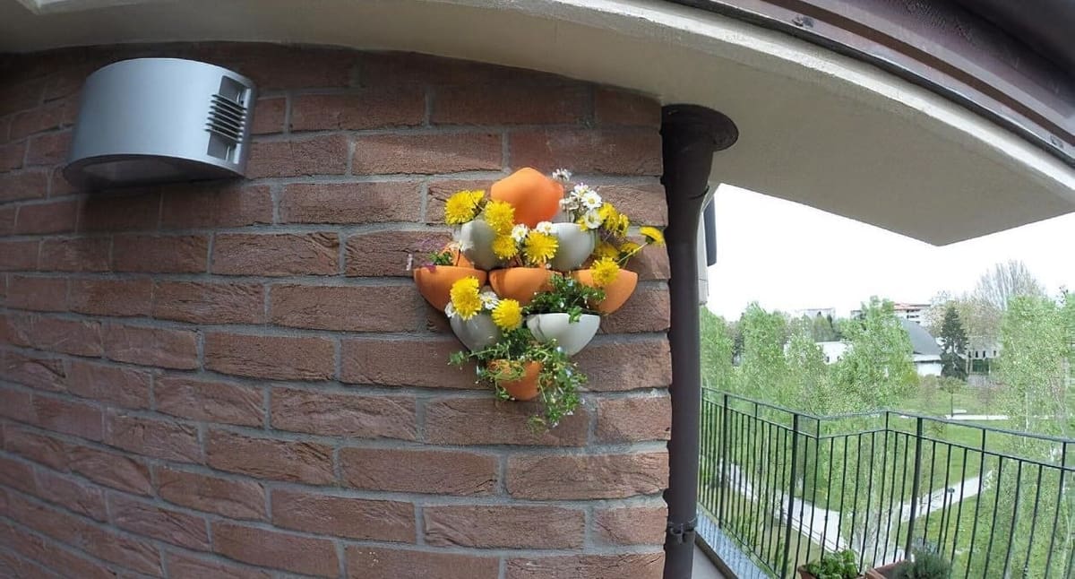 Make this cluster of wall pots as big or small as you'd like