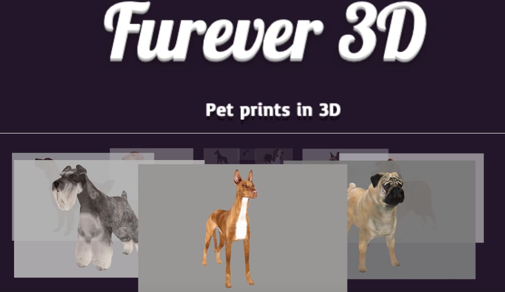 A few examples of 3D models created