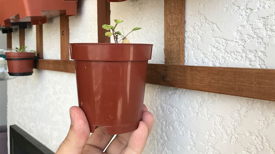 The wall where we're going mount the small planter