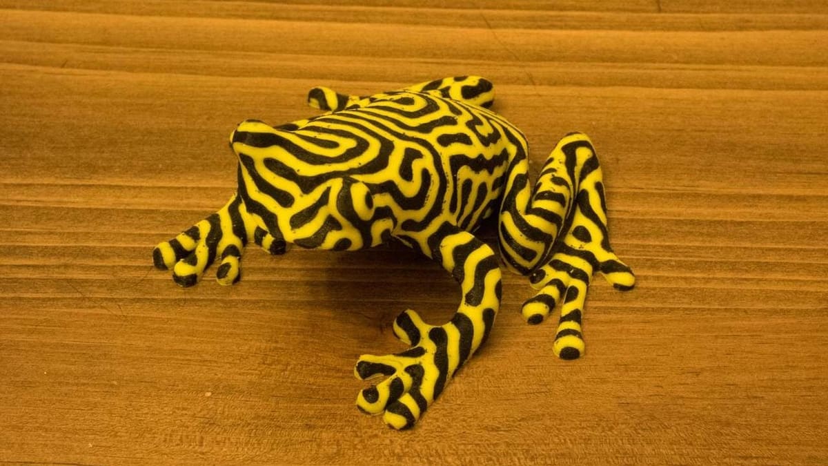The design and print is spectacular of this tropical frog