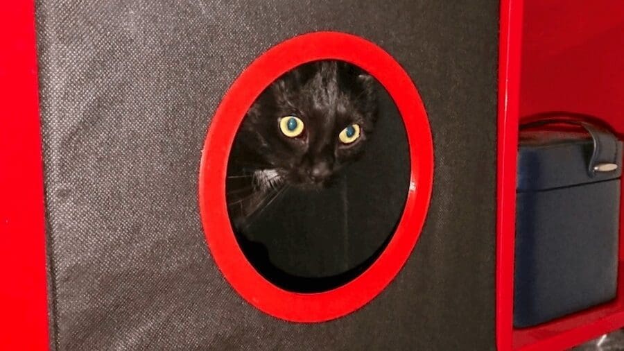 What's new pussycat? A simple 3D printed mod to create a stylish cat cave