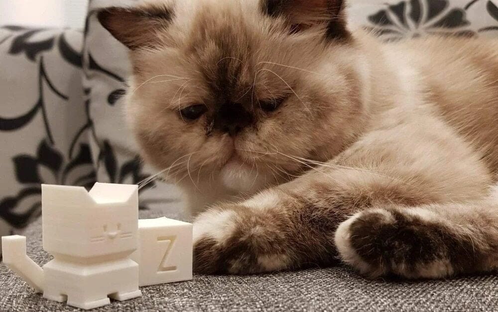 The Cali Cat is an adorable take on the calibration cube