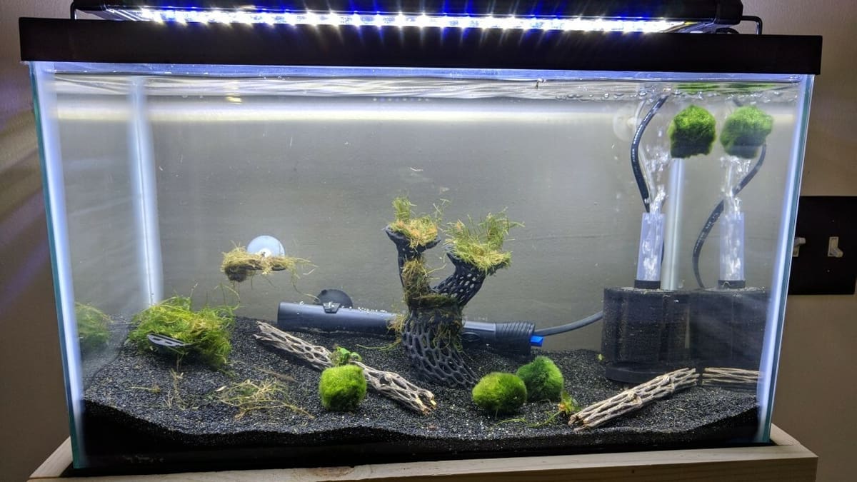 The Best 3D Printed Aquarium Decorations & Accessories | All3DP The Best 3D Printed Aquarium Decorations & Accessories | All3DP