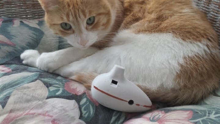 A sweet potato ocarina with a sweet sound!
