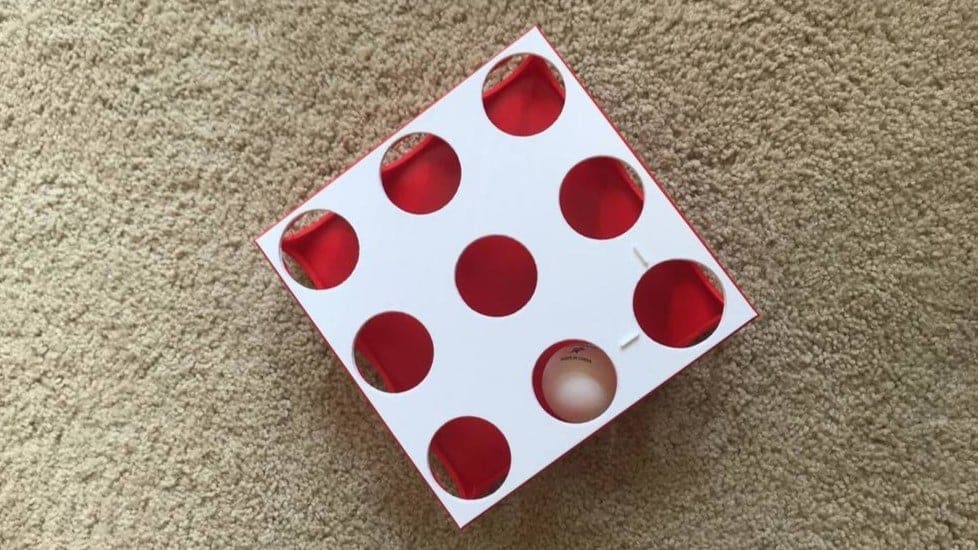 Image of: 3. Ping Pong Ball Field