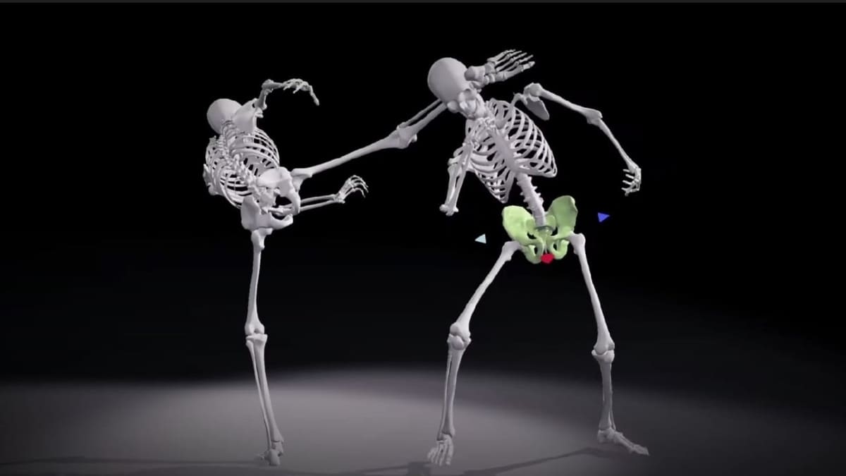 Move those bones!