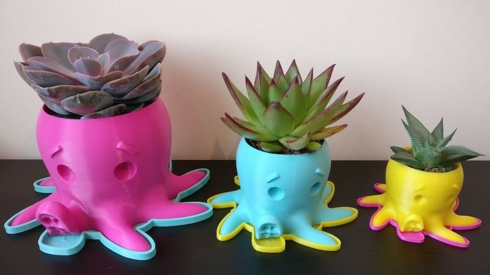 Add color combinations to your colorful plants