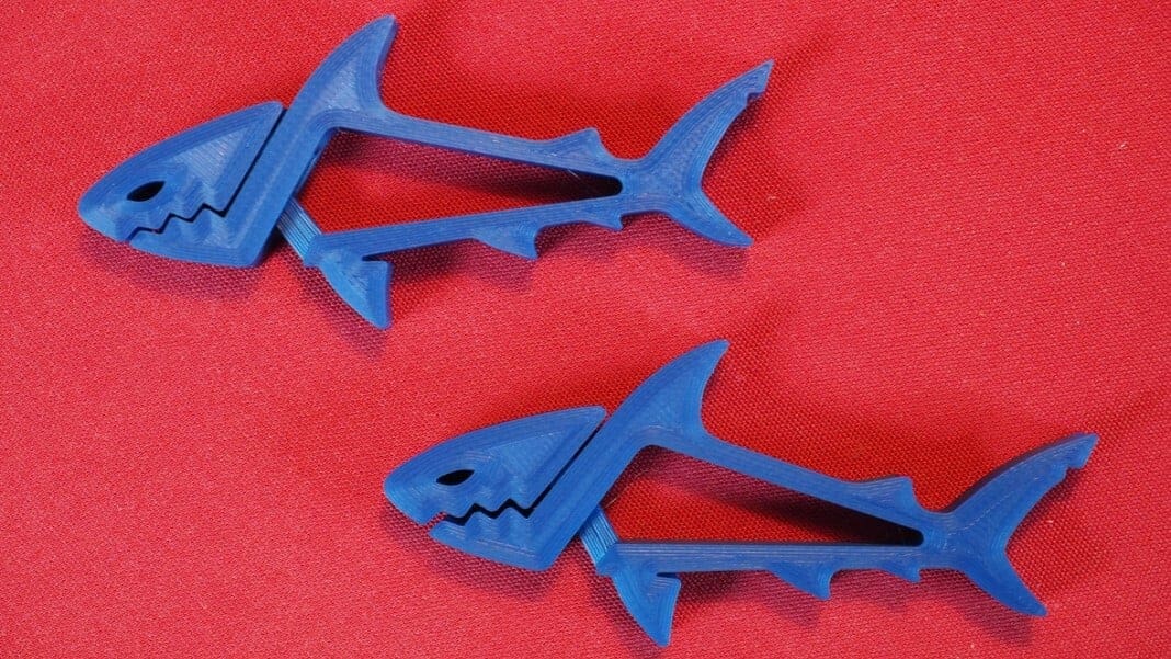 It's a friendly shark attack