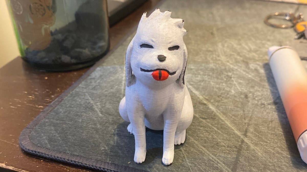 A good ninja boy