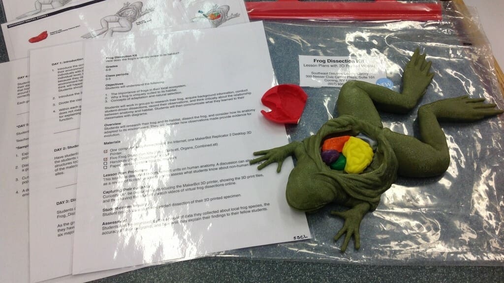 Learning and protecting nature!