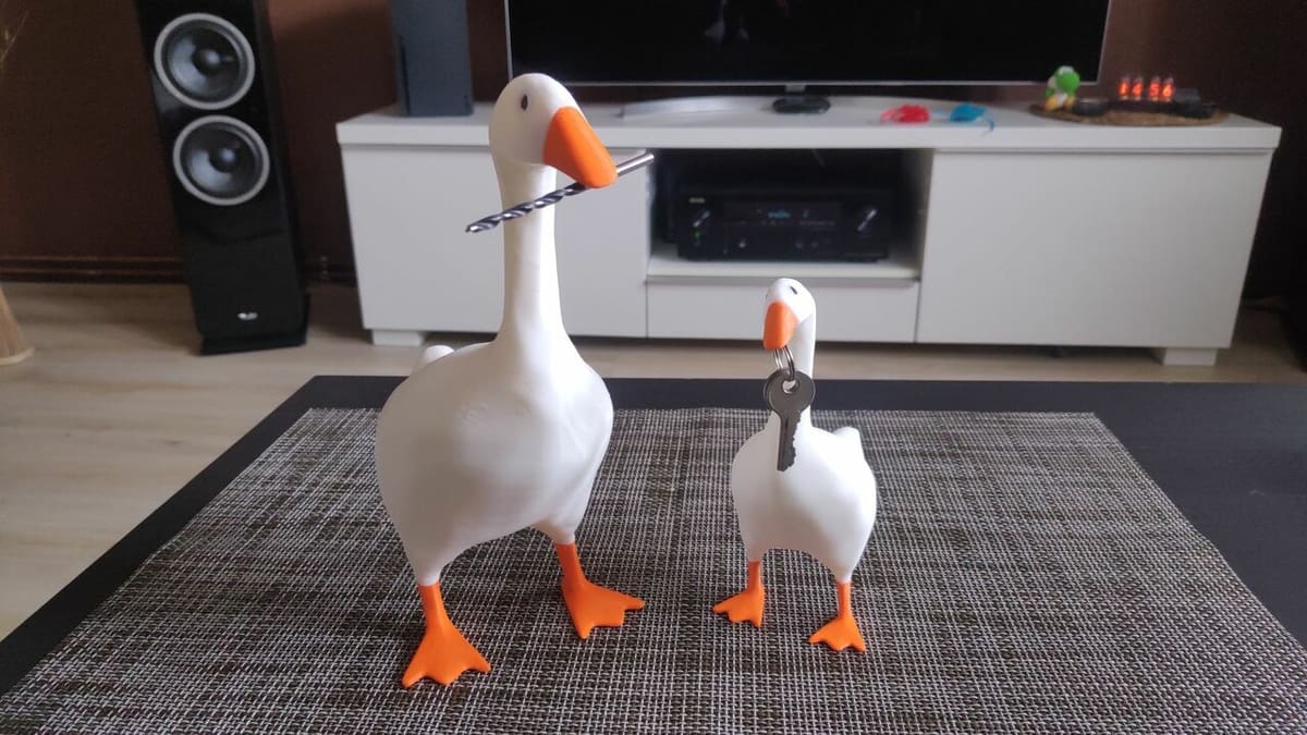 Be aware to not act like an entitled goose